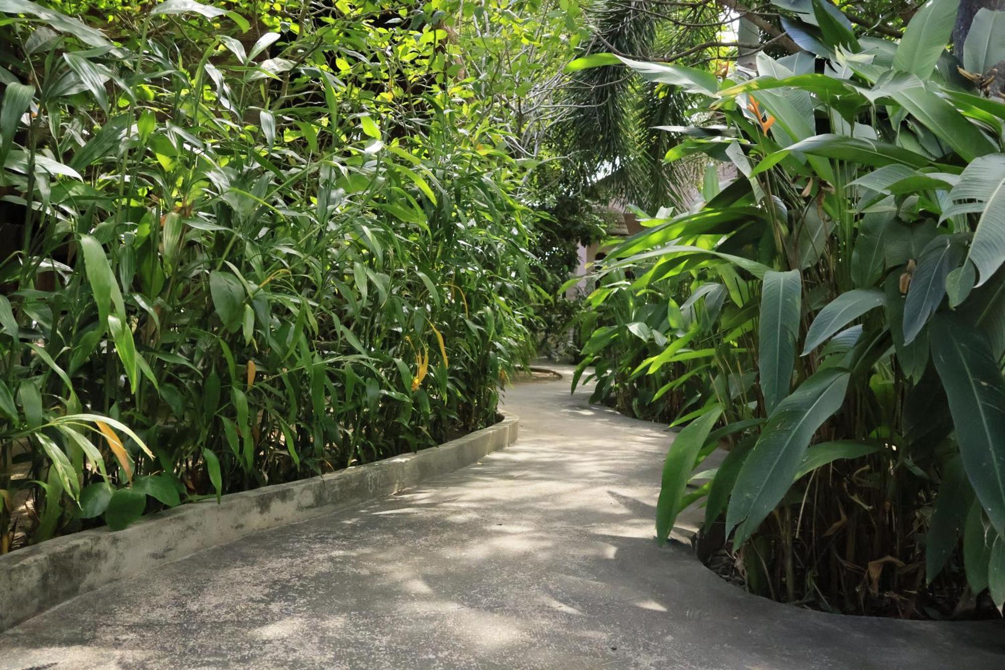 Bird Of Paradise Bungalows Kep Exterior foto
